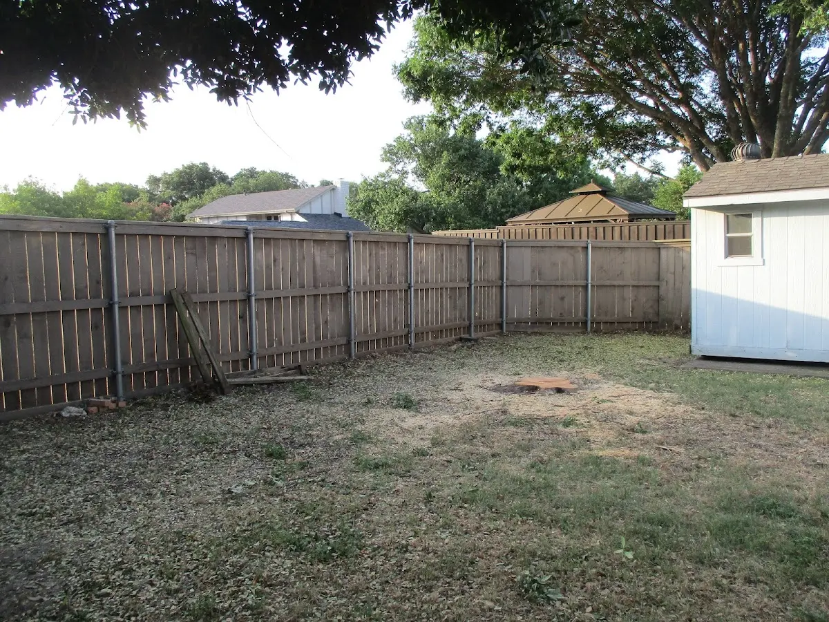Cleared yard after professional tree removal in Huson